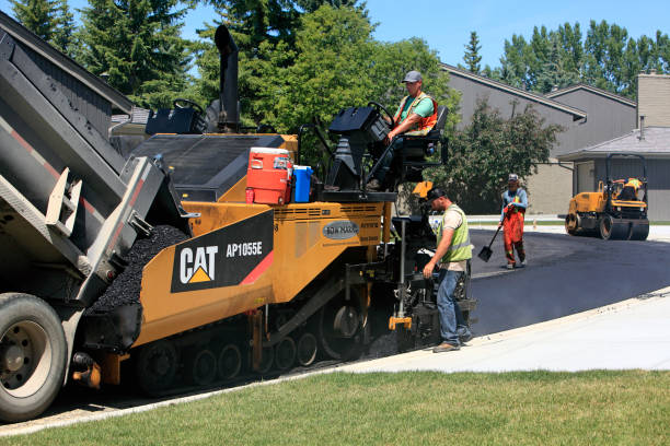 Best Custom Driveway Pavers  in Lantana, FL